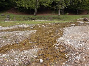 Percorso A piedi Râșnov - Bușteni - Șaua Baiului - Cabana Diham - Photo