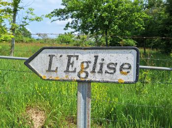 Trail Walking Livarot-Pays-d'Auge - Le Mesnil-Germain - Photo