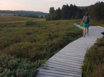 Tocht Stappen Nanchez - tourbières de Nanchez - Photo