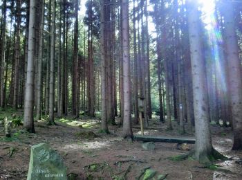 Tour Zu Fuß Gefrees - Gefrees Rundwanderweg Nr. 3 - Photo