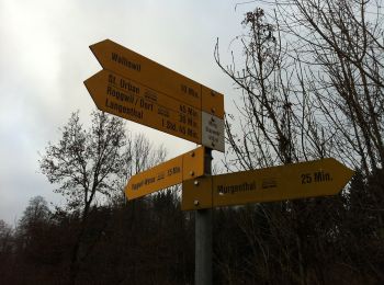 Randonnée A pied Wynau - Wynau - Wynau Kraftwerk - Photo