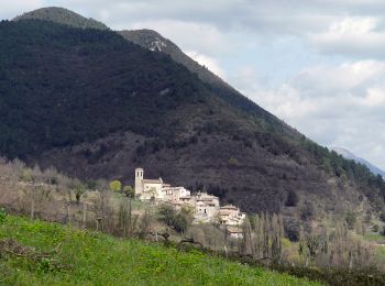 Trail On foot Arrone - Via di Francesco - Tappa 9 Arrone-Ceselli - Photo