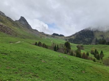 Tocht Stappen Jarsy - COL D'ORGEVAL - Photo