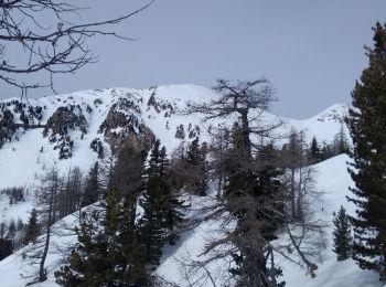 Tour Skiwanderen Saint-Martin-Vésubie - Baisse de Pagari de Salèse - Photo