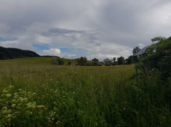 Trail Walking Nanchez - Prénom électronique du chalet à la tourbière  - Photo