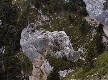 Tour Wandern Saint-Pierre-de-Chartreuse - pas de rochebrune et de rocheplane  - Photo
