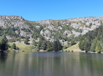 Trail Walking Orbey - Col du Wettstein - Hautes-Huttes - Lac du Forlet - Lac Vert - Photo