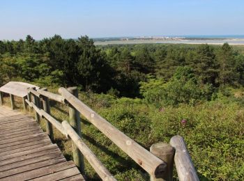 Tocht Stappen Étaples - LP80_ETAPLES_Estuaire-de-la-Canche_10km - Photo