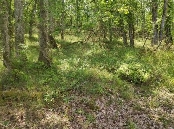 Tour Mountainbike Saint-Cirq-Lapopie - 20190728_vélo_avec_Thomas - Photo