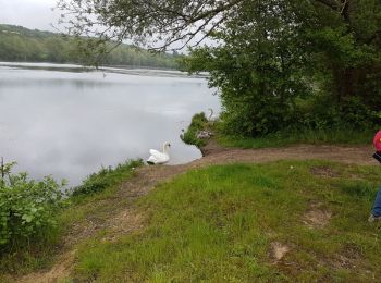 Trail Walking Saint-Julien-du-Sault - saint julien du Sault/La Maladrerie - Photo