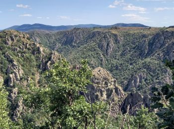 Tocht Stappen Pourcharesses - au coeur des gorges du chassezac au départ de Villefort  - Photo