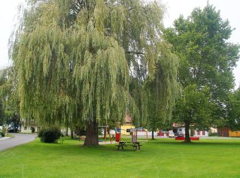 Tour Zu Fuß Straß in Steiermark - Mur-Grenzweg - Photo