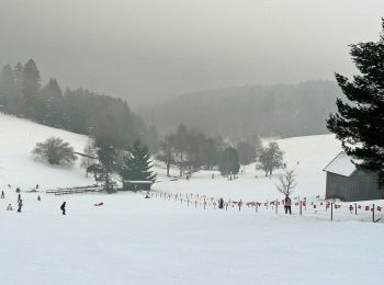 Percorso A piedi Grömbach - Nagoldtal - Simmersfeld - Photo