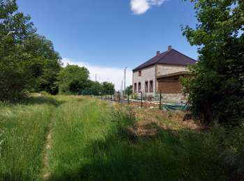 Trail Walking Momignies - Macquenoise 170621 - Photo