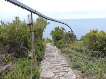 Trail On foot La Spezia - Fabiano – Mad.na dell'Olmo – Cà Pilloa – Sella Gesuela - Photo