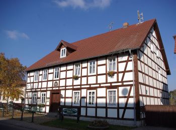 Percorso A piedi Unterspreewald - Wanderweg Schlepzig-Neu-Lübbenau-Leibsch-Neuendorf - Photo