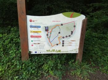 Randonnée Marche Sainte-Menehould - La Grange aux Bois du 22/06/2022 - Photo