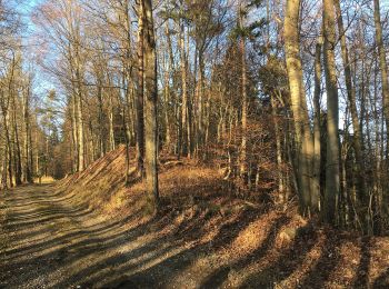Trail On foot Winterthur - Winterthur Töss - Pfungen - Photo