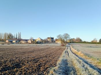 Trail Walking Dhuys et Morin-en-Brie - Fontenelle-en-Brie du 12-01-2022 - Photo