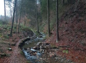Trail Walking Stavelot - Francorchamps roannay rive gauche - Ruy retour rive droite - Photo