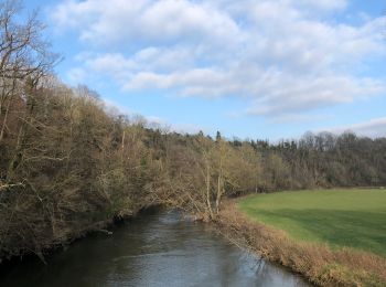 Trail Walking Rochefort - Tour de 9km au départ du Château  - Photo