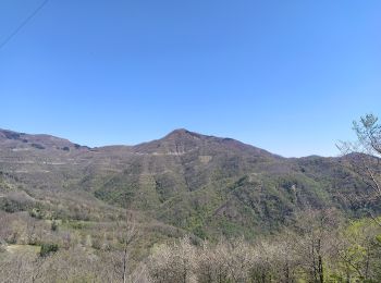 Percorso A piedi Vernio - Sentiero CAI 64 - Sez. Prato - Photo