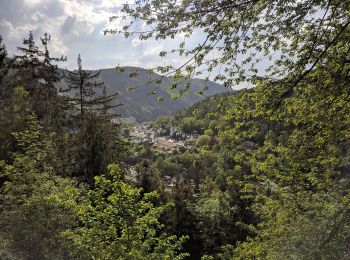 Excursión A pie Leutenberg - Rundwanderweg H3 - Photo