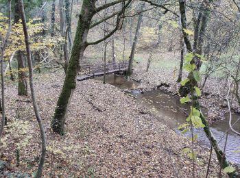 Trail On foot Kirchberg an der Murr - Kirchberg - Winnenden - Photo