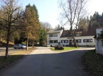 Tour Zu Fuß St. Ingbert - Reh-Rundwanderweg - Photo