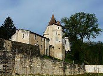 Tocht Stappen Château-l'Évêque - Boucle du bois de Lavergne - Photo