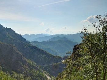 Randonnée A pied Castiglione Chiavarese - Castiglione Chiavarese - Costa ovest Monte Pietra di Vasca - Photo