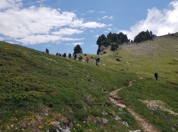 Excursión Senderismo Corrençon-en-Vercors - Le Pas Ernadan et la Cabane à Goupette - Photo