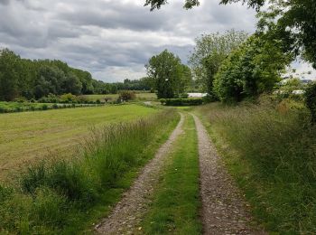 Tocht Stappen Saint-Suliac - belle randonnée depuis suliac vers le mont Garros retour vers suliac  par le chemin côtier ensuite faire le tour de la presqu'île pour revenir à suliac attention 2eme partie du chemin ne pas le faire  a un coefficient  haut  très agréable a faire - Photo