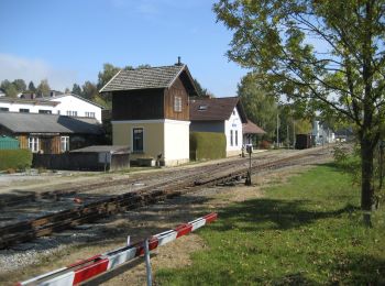 Tour Zu Fuß Langschlag - Bahnwanderweg Kleiner Semmering 90 - Photo