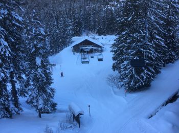 Tocht Sneeuwschoenen Orsières - Champex Lac - La Breya - Champex Lac - Photo
