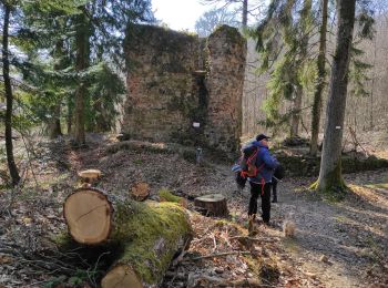 Trail Walking Soultzmatt - Soutzmatt Orschwihr Bollenberg  - Photo