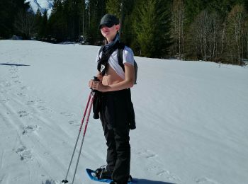 Trail Touring skiing Saanen - abländschen - Photo