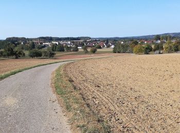 Percorso A piedi Buchen (Odenwald) - Rundwanderweg Waldhausen 4 Ortsrunde - Photo