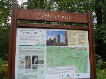 Trail Walking La Londe - 20220927-La Londe Cool - Photo