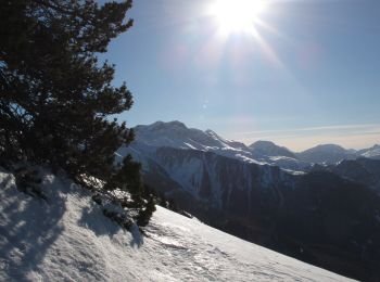 Tour Skiwanderen Seyne - pic de bernardez à Ski - Photo