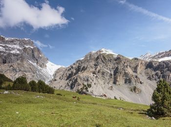 Randonnée A pied Scuol - Alp Sesvenna - Fuorcla Sesvenna - Photo