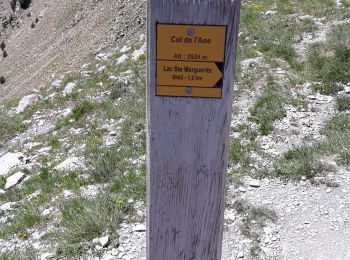 Trail Walking Les Orres - pico de l ane - Photo