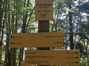 Tour Wandern Saint-Jean-de-Sixt - St-Jean-de-Sixt ... le  Crêt Brûlé.  - Photo