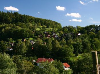 Percorso A piedi Reichelsheim (Odenwald) - Geo-Lehrpfad Ober-Kainsbach : Baustein, Erz und schwerer Spat (rot) - Photo