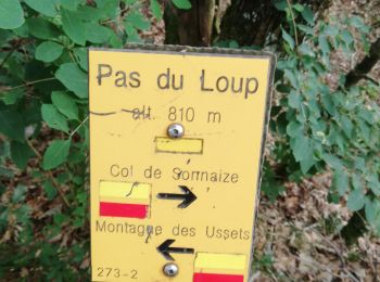 Tour Wandern Rochefort-Samson - Le pas du loup au départ des Ducs,  - Photo