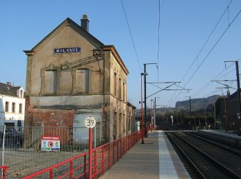 Tocht Te voet Aubange - Le Bois Haut - Photo