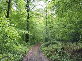 Randonnée Marche Longroy - Longroy - Photo