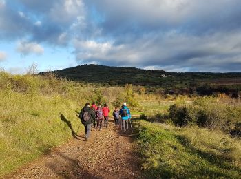 Trail Walking Celles - Vailhés Laulo L'Auverne Salagou - Photo