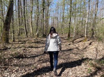 Tour Wandern Marigny - Forêt de Bagnolet - entre chemins et bois - Photo