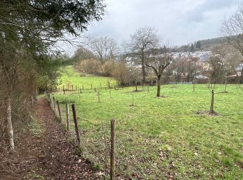 Trail Walking Aubange - Rachecourt-Willancourt-Battincourt (boucle 19k) - Photo